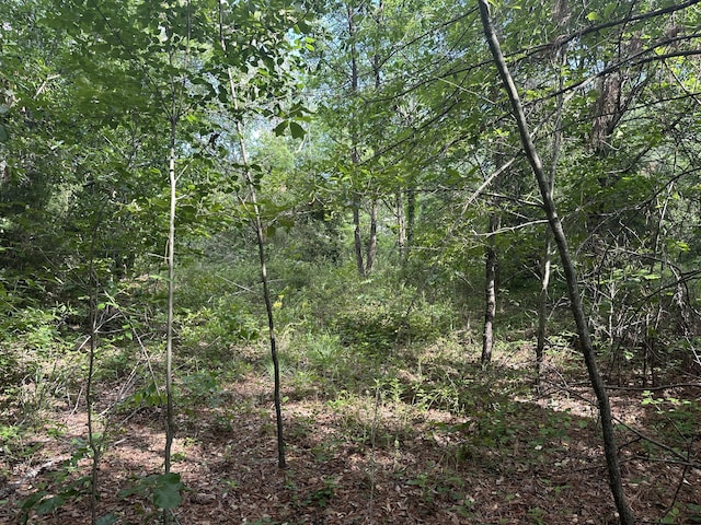 1328 Oakridge Plantation Rd, Hephzibah, GA 30815