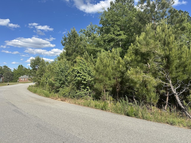 1328 Oakridge Plantation Rd, Hephzibah, GA 30815