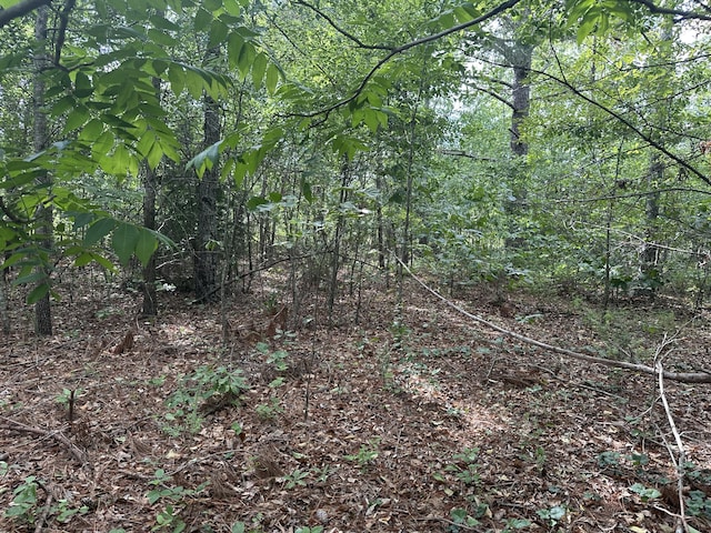1328 Oakridge Plantation Rd, Hephzibah, GA 30815