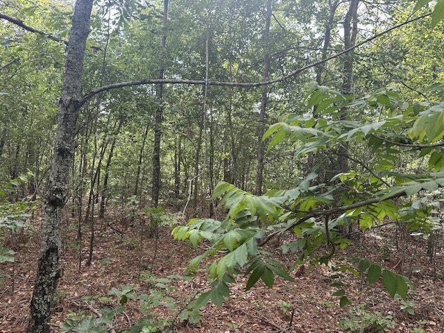 1328 Oakridge Plantation Rd, Hephzibah, GA 30815