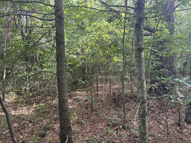 1328 Oakridge Plantation Rd, Hephzibah, GA 30815