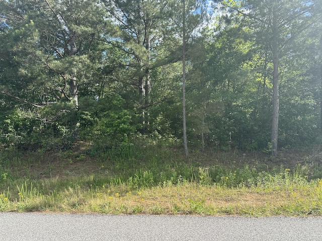 1328 Oakridge Plantation Rd, Hephzibah, GA 30815