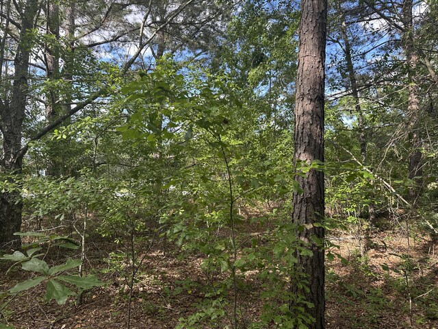 1328 Oakridge Plantation Rd, Hephzibah, GA 30815