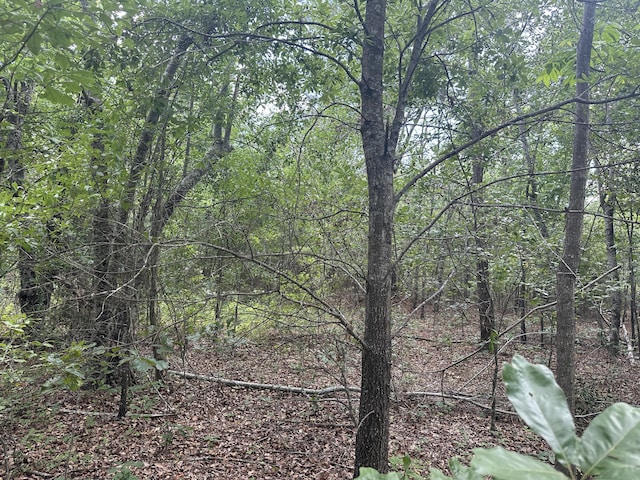 1328 Oakridge Plantation Rd, Hephzibah, GA 30815