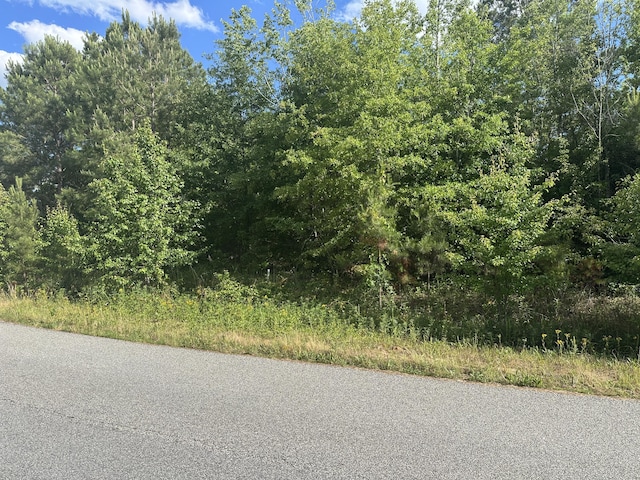 1328 Oakridge Plantation Rd, Hephzibah, GA 30815