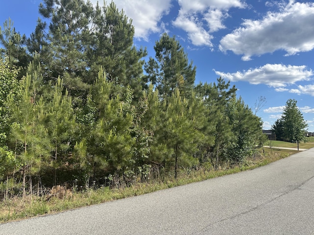1328 Oakridge Plantation Rd, Hephzibah, GA 30815