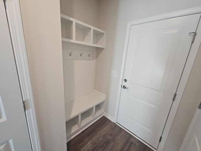 mudroom featuring dark hardwood / wood-style flooring