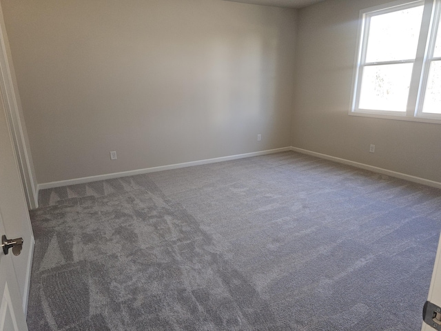 unfurnished room featuring carpet flooring