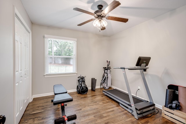 621 Cambridge Rd, Augusta, GA 30909 - exercise area featuring a ceiling fan and wood finished floors