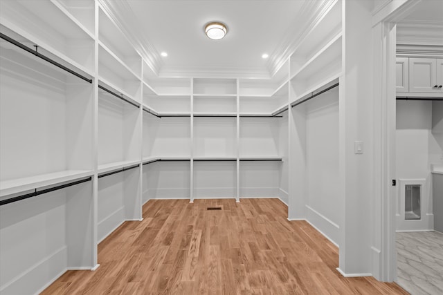 811 Audubon Way, Evans, GA 30809 - spacious closet featuring light wood finished floors and a raised ceiling