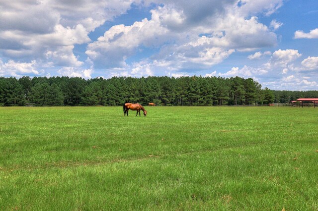 exterior space with a rural view