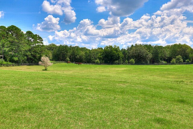 view of yard with a rural view