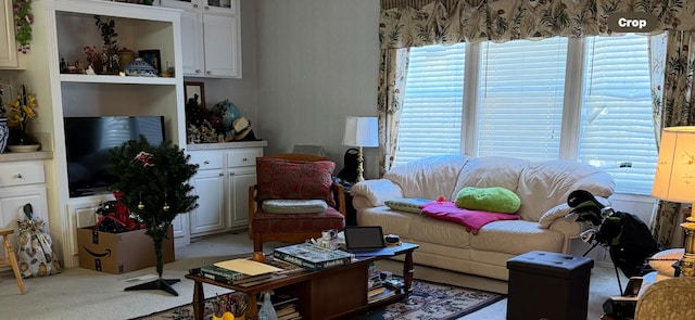 living room with light colored carpet