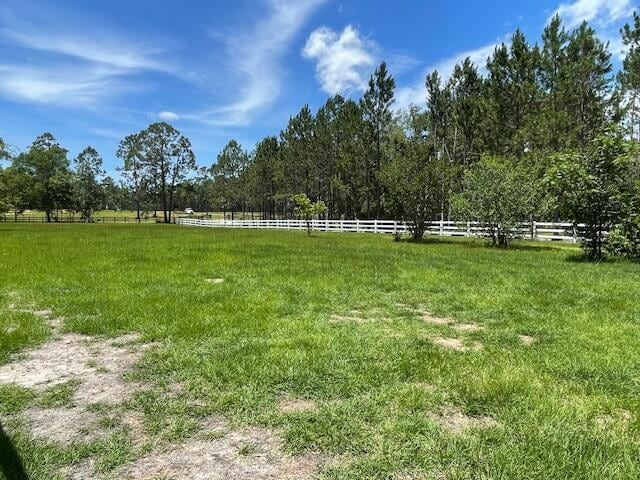 122 Ehrlich Farm Rd, Swainsboro, GA 30401 - view of yard with a view of rural / pastoral area