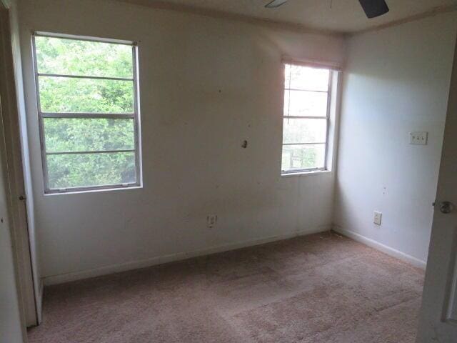 1916 Walker St, Augusta, GA 30904 - carpeted empty room featuring a ceiling fan and baseboards