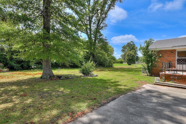 view of yard featuring a patio