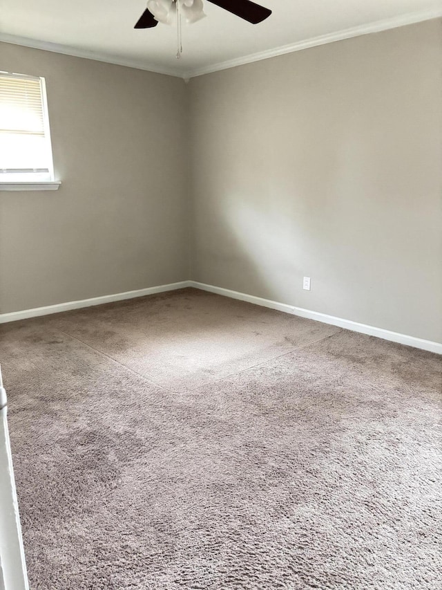 unfurnished room with crown molding, carpet flooring, and ceiling fan