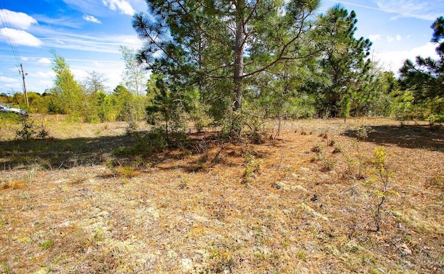LOT4 Pearl Ln, Williston, SC 29853 - photo 7