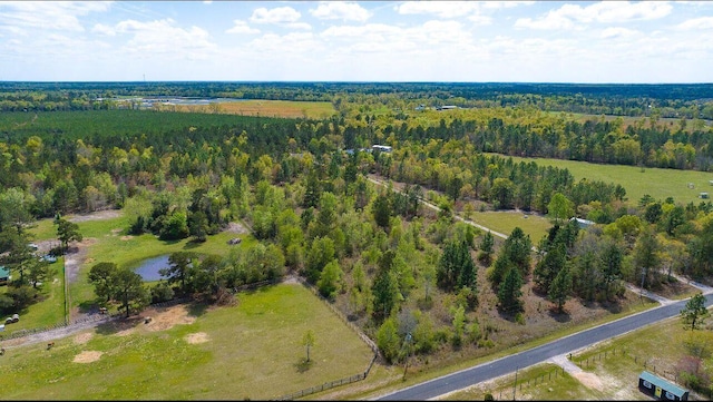 LOT4 Pearl Ln, Williston, SC 29853 - photo 2