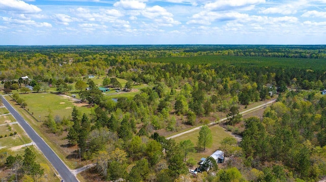 LOT4 Pearl Ln, Williston, SC 29853 - photo 3