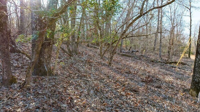 LOT4 Pearl Ln, Williston, SC 29853 - photo 6