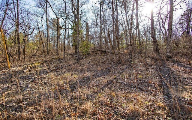 LOT4 Pearl Ln, Williston, SC 29853 - photo 5