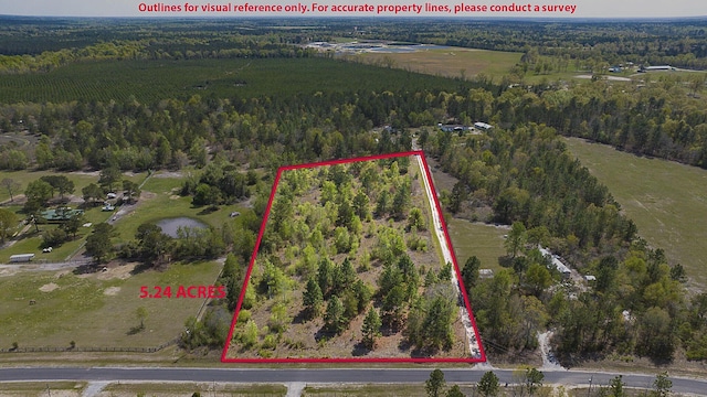 LOT4 Pearl Ln, Williston, SC 29853 - photo 1