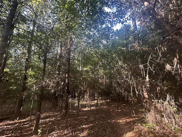 LOT3A Elberton Hwy, Lincolnton, GA 30817 - photo 12
