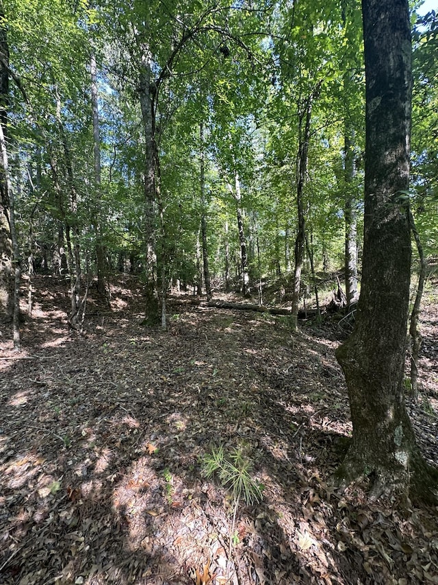 LOT3A Elberton Hwy, Lincolnton, GA 30817 - photo 18