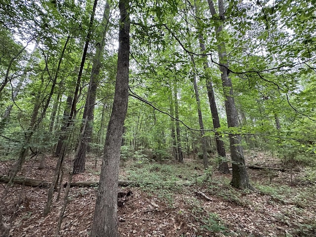 LOT3A Elberton Hwy, Lincolnton, GA 30817 - photo 10