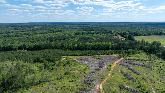 LOT3A Elberton Hwy, Lincolnton, GA 30817 - photo 24
