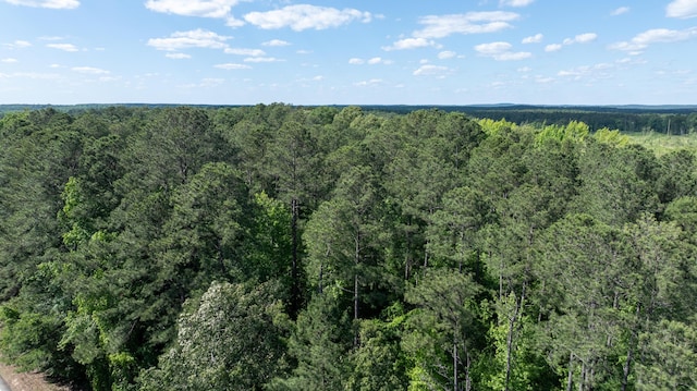 LOT3A Elberton Hwy, Lincolnton, GA 30817 - photo 21
