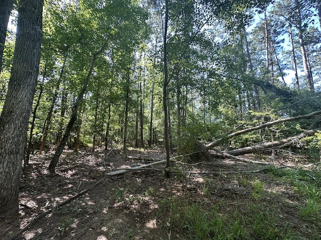 LOT3A Elberton Hwy, Lincolnton, GA 30817 - photo 16
