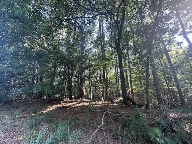 LOT3A Elberton Hwy, Lincolnton, GA 30817 - photo 15
