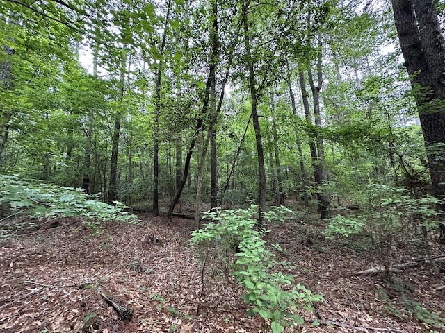 LOT3A Elberton Hwy, Lincolnton, GA 30817 - photo 9