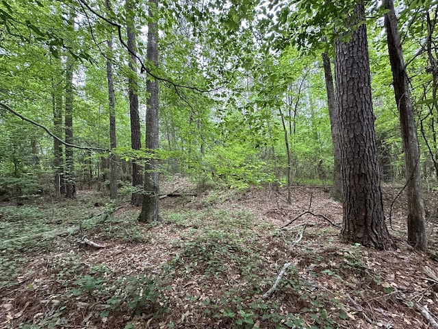 LOT3A Elberton Hwy, Lincolnton, GA 30817 - photo 11