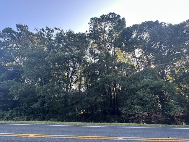 LOT3A Elberton Hwy, Lincolnton, GA 30817 - photo 1