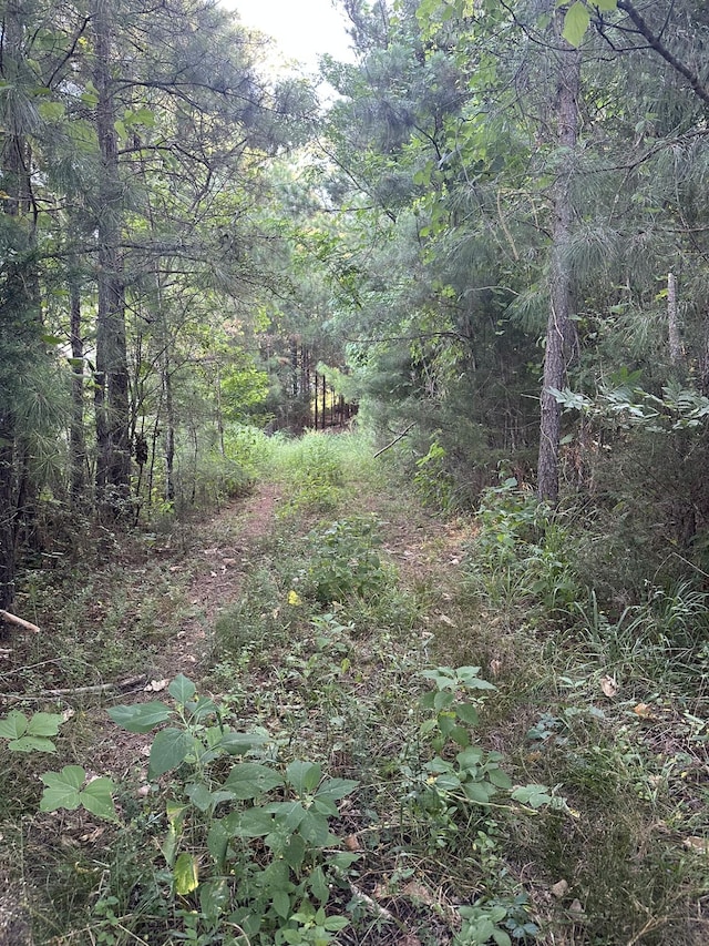 LOT3A Elberton Hwy, Lincolnton, GA 30817 - photo 4