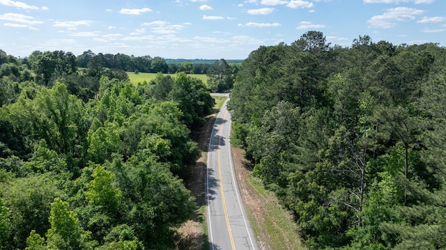 LOT3A Elberton Hwy, Lincolnton, GA 30817 - photo 20