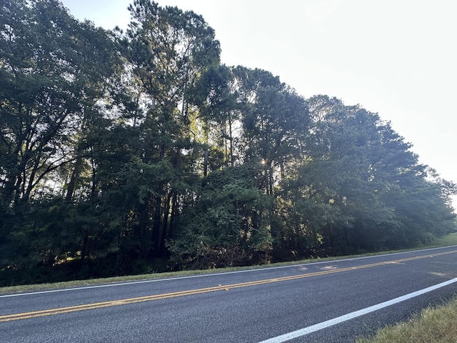 LOT3A Elberton Hwy, Lincolnton, GA 30817 - photo 3