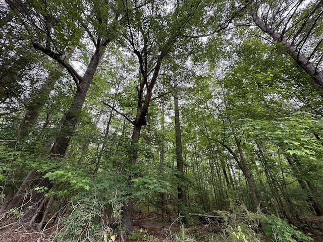 LOT3A Elberton Hwy, Lincolnton, GA 30817 - photo 5