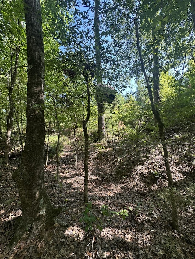 LOT3A Elberton Hwy, Lincolnton, GA 30817 - photo 17