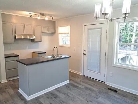 65 Fox Terrace Dr, North Augusta, SC 29860 - kitchen with a sink, under cabinet range hood, a chandelier, dark wood-style flooring, and crown molding