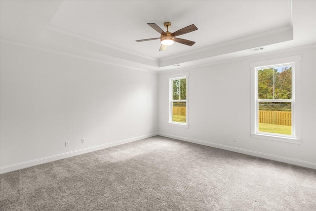 carpeted spare room featuring crown molding, ceiling fan, and a tray ceiling