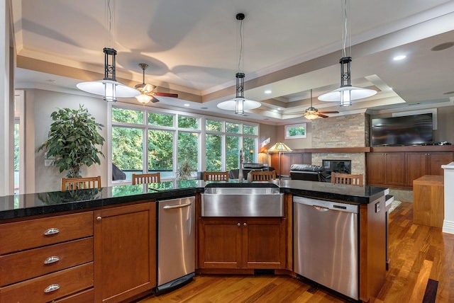 kitchen with pendant lighting, dishwasher, a raised ceiling, and light wood-type flooring