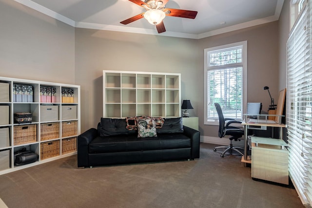 office area featuring carpet flooring, ceiling fan, and ornamental molding