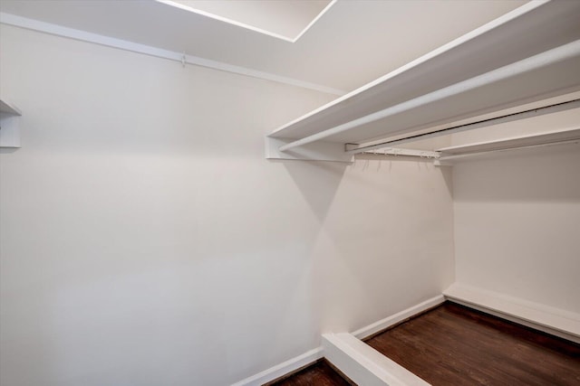 2911 Lombardy Ct, Augusta, GA 30909 - walk in closet featuring wood finished floors
