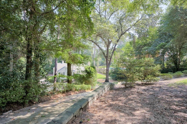 2911 Lombardy Ct, Augusta, GA 30909 - view of yard
