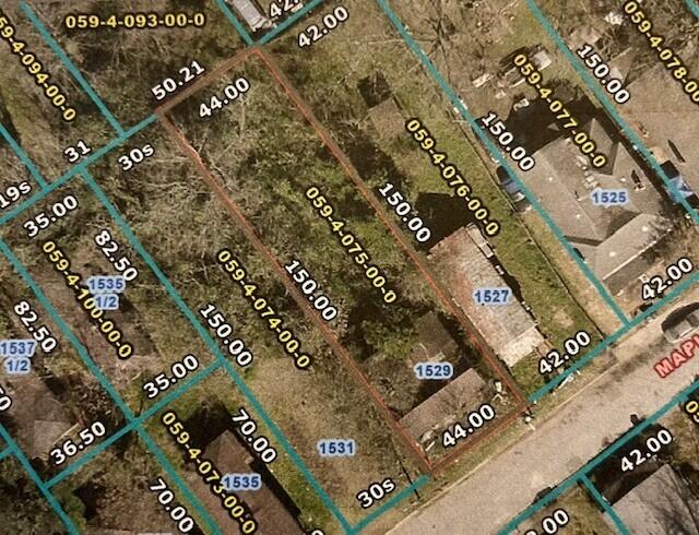 1529 Maple St, Augusta, GA 30901 - photo 15