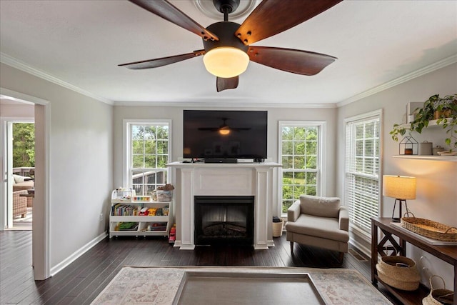 3933 High Chaparral Dr, Martinez, GA 30907 - living area with dark wood-style flooring, baseboards, healthy amount of natural light, a fireplace with flush hearth, and ornamental molding
